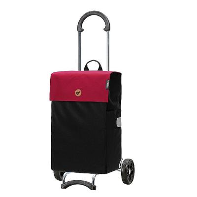 Nkupn taka na kolekch Scala Shopper Hera 47 l